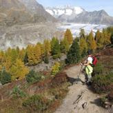 Het Aletschwald is onderdeel van het eerste UNESCO-Wereldnatuurerfgoed in de Alpen. Het eeuwenoude Arven-Lärchenwald ligt tussen de 1600 en 2200m UNESCO-Wereldnatuurerfgoed